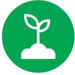 plant icon